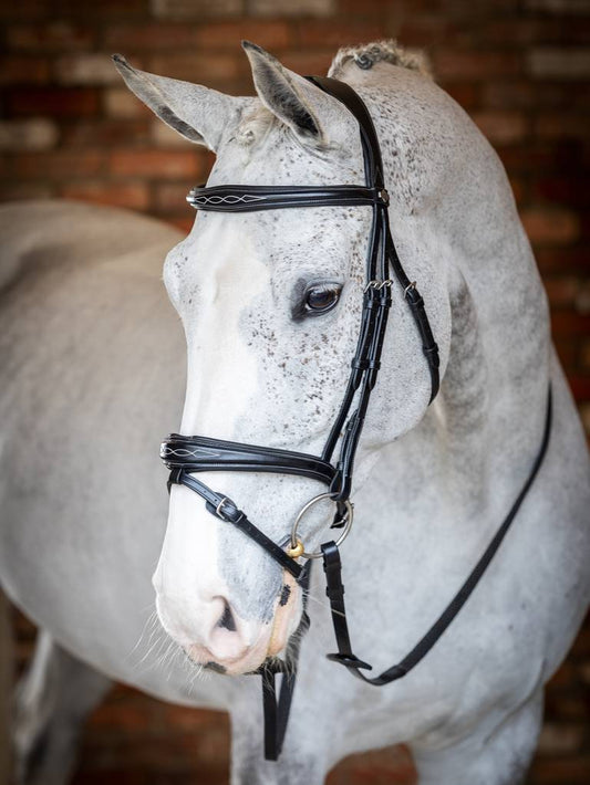 LM Kudos Competition Flash Bridle, Svart