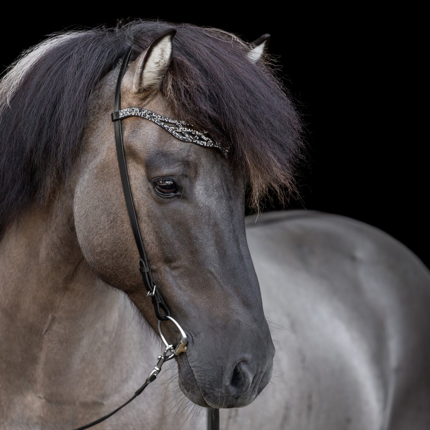 Headstall Heritage B - Fire & Ice