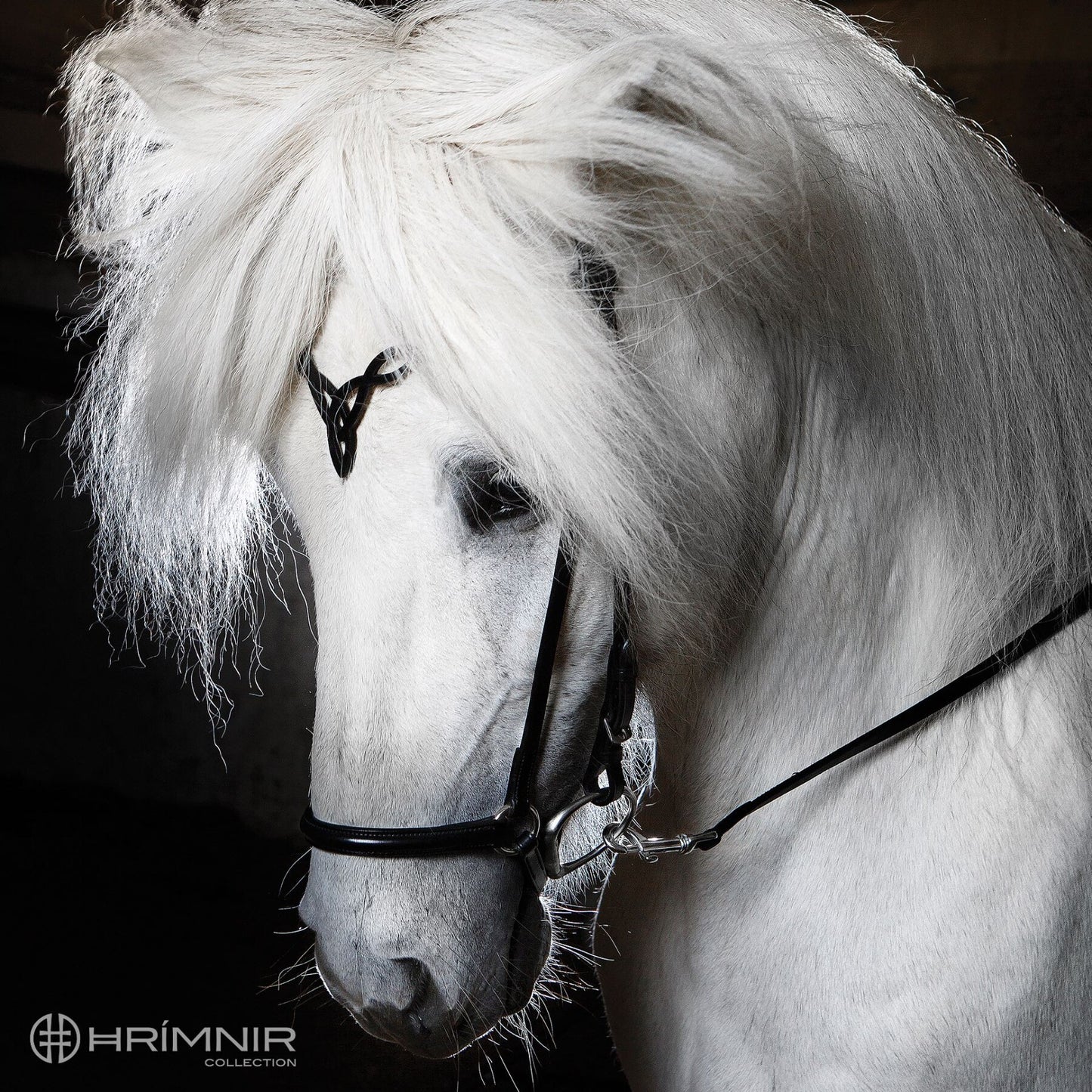 Hrimnir Heritage D Träns