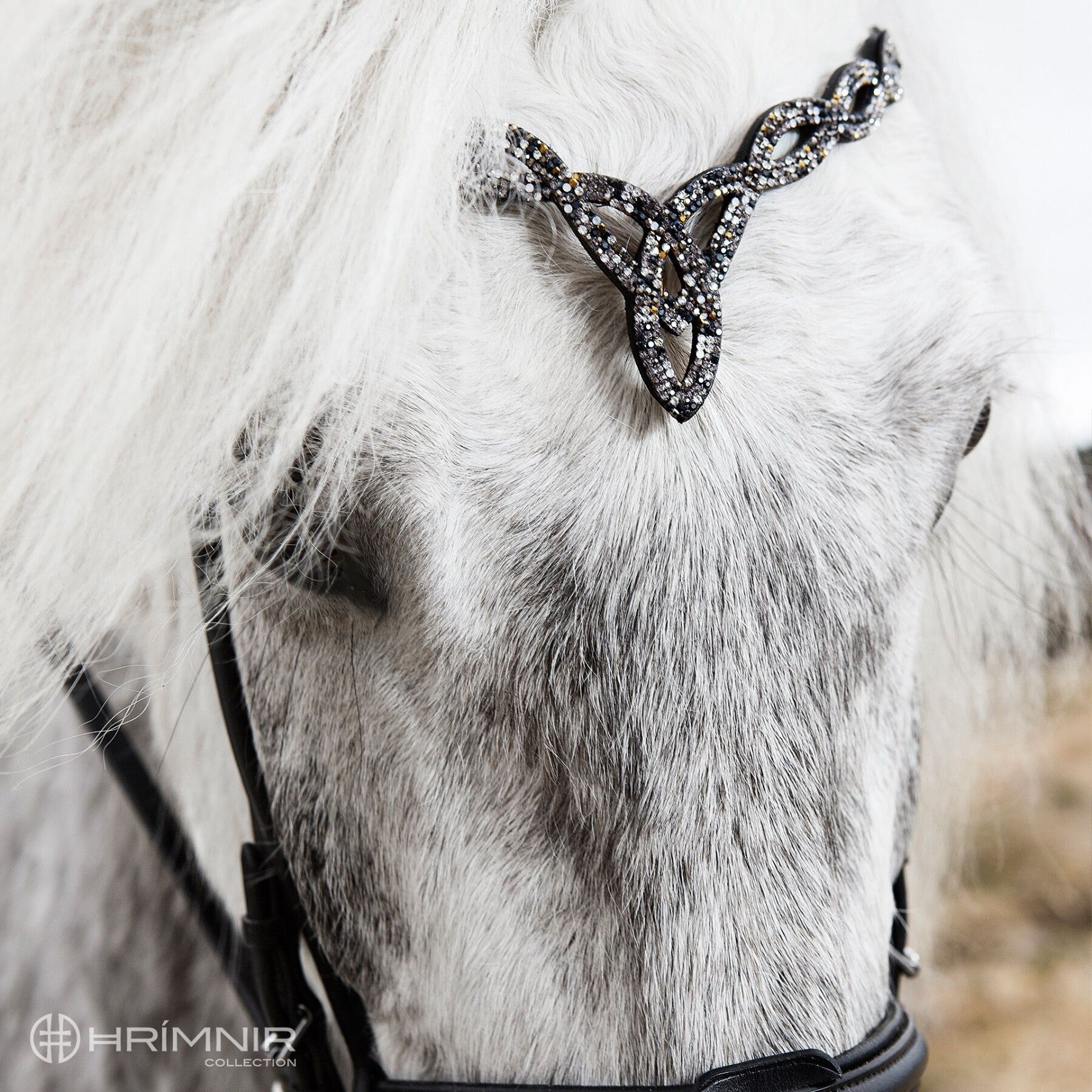 Träns Heritage D - Eld och Is