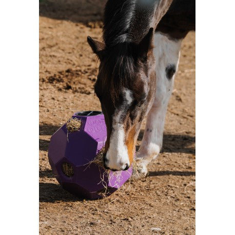 HIPPOTONIC HIPPOTONIC Slow feeder ball for hay