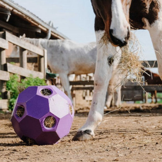 HIPPOTONIC HIPPOTONIC Slow feeder ball for hay