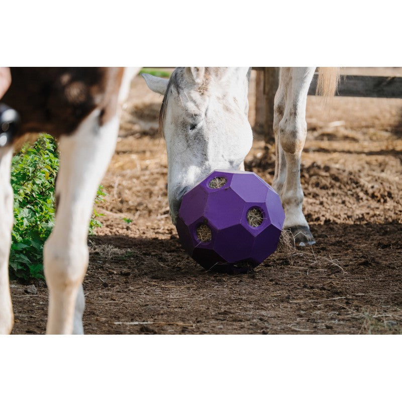 HIPPOTONIC HIPPOTONIC Slow feeder ball for hay