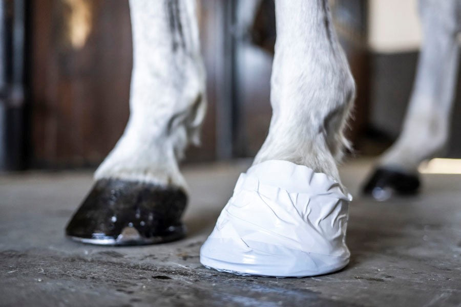 Hov och Veterinärtejpen
