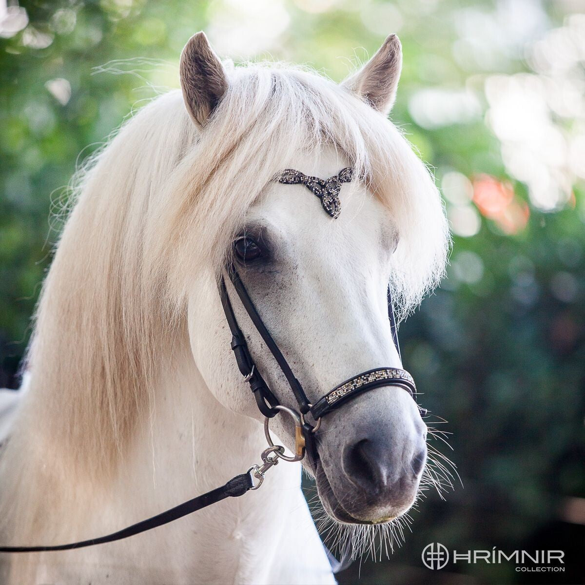 Träns Heritage D - Eld och Is