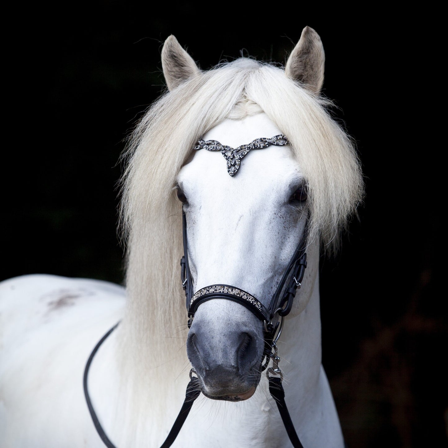 Träns Heritage D - Eld och Is