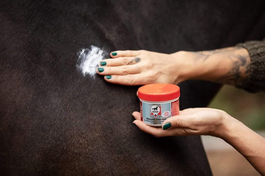 Leovet Leovet First Aid Silver Salve 150 ml