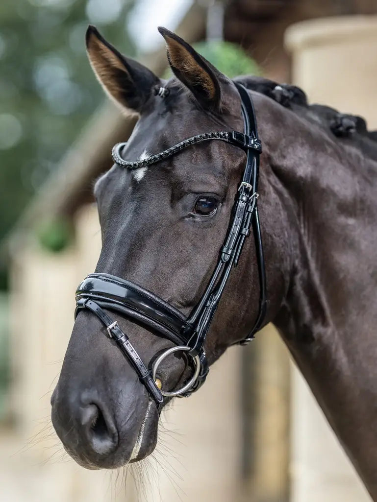 Kudos Patent Dressage Bridle Svart