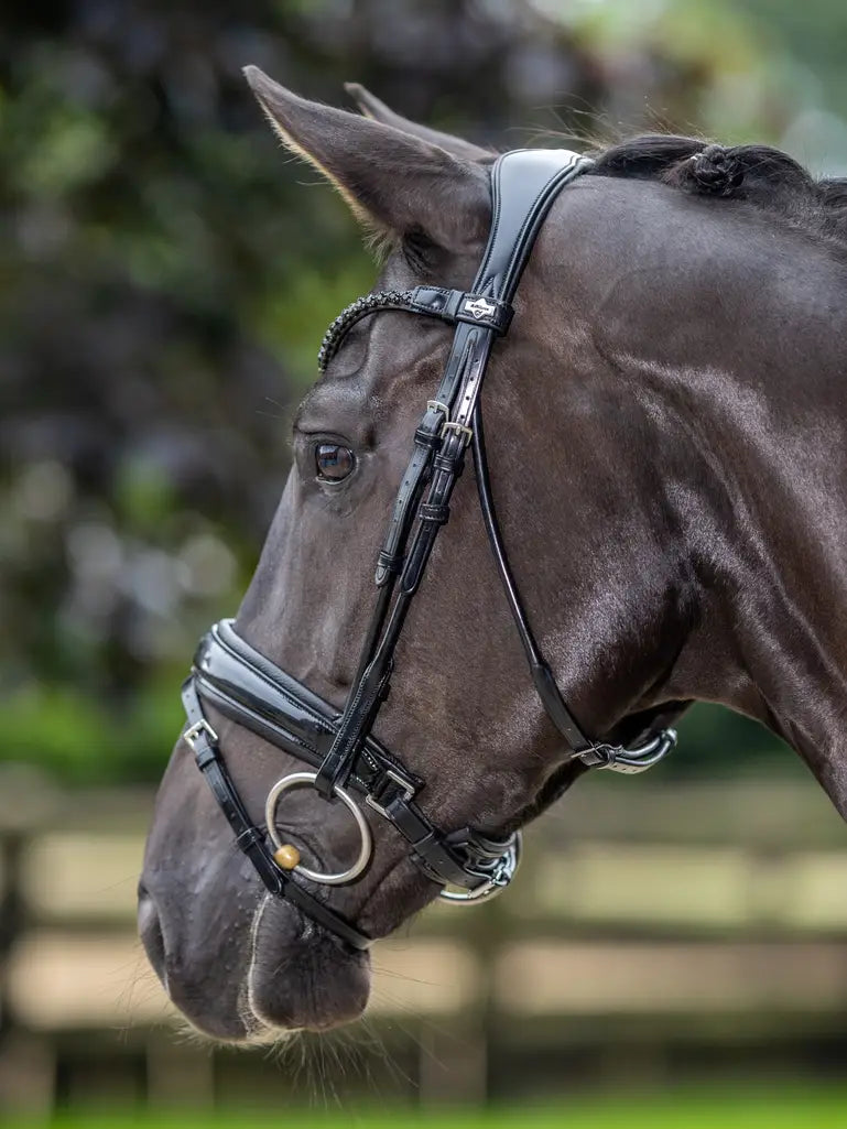 Kudos Patent Dressage Bridle Svart