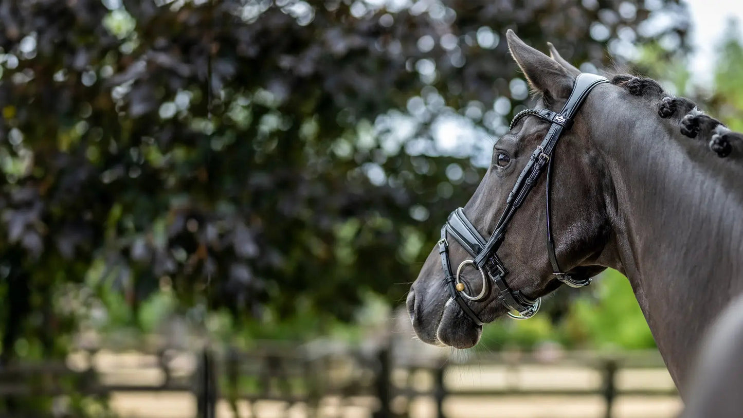 Kudos Patent Dressage Bridle Svart