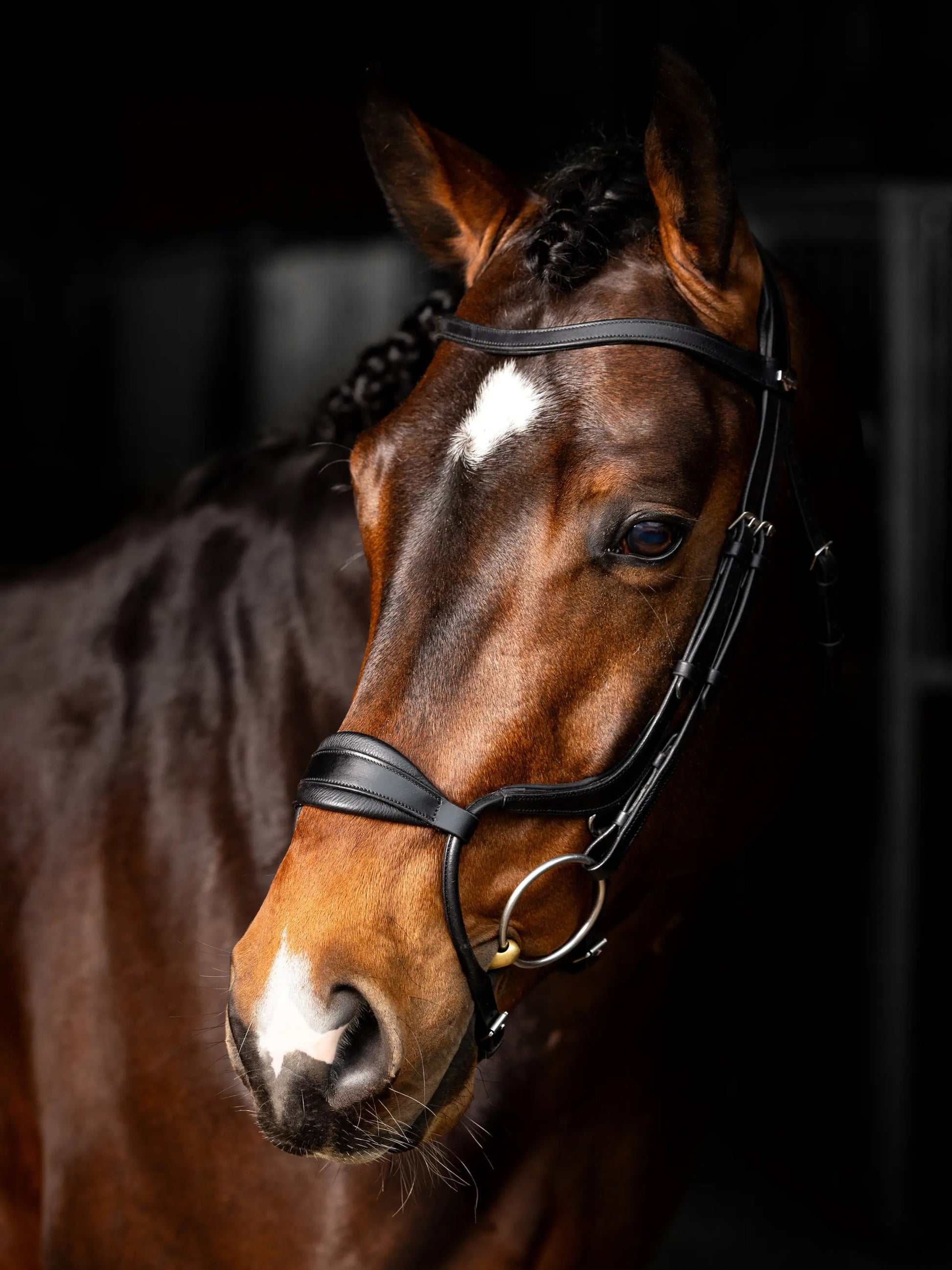 LM Arika Adjustable Anatomic Noseband Bridle Black/Silver