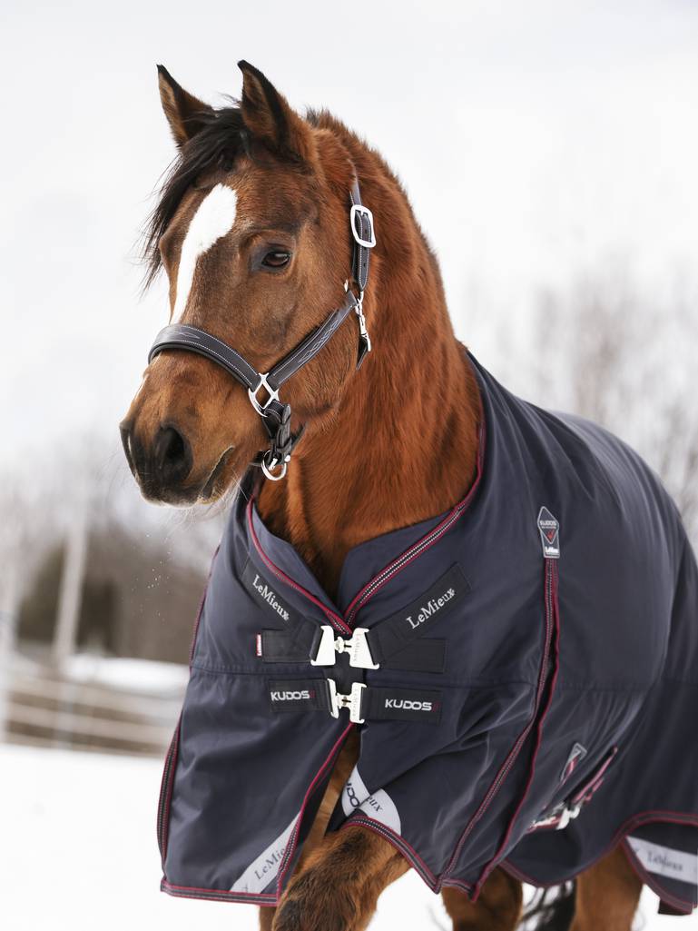 LM Kudos Turnout Rug 100g Navy
