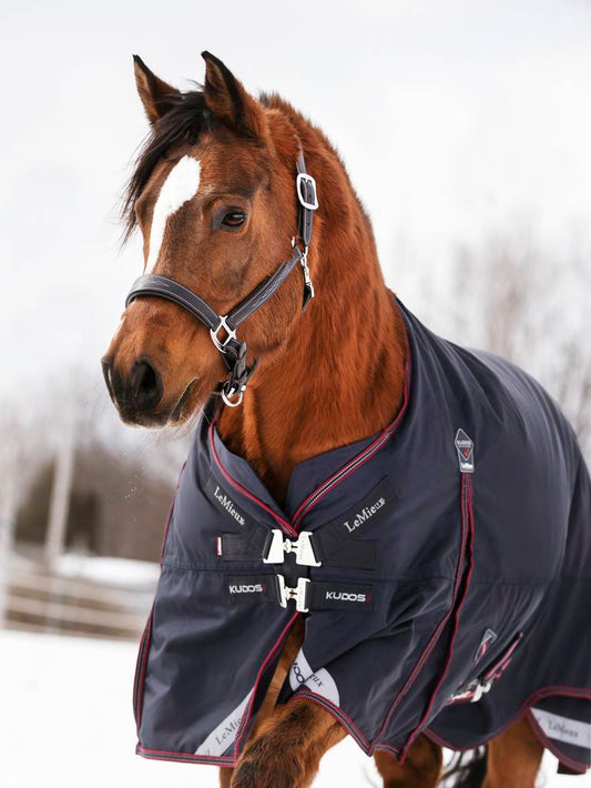 LM Kudos Turnout Rug 100g Navy
