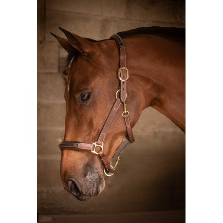 Lädergrimma med 3 snäppkrokar – PADDOCK