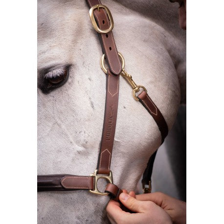 Lädergrimma med 3 snäppkrokar – PADDOCK