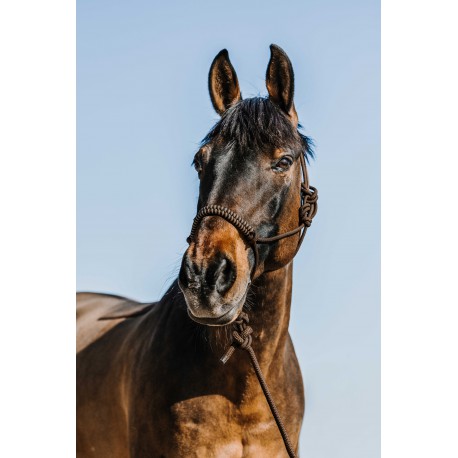 Repgrimma + ledrep NORTON – Deco