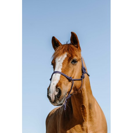 NORTON Repgrimam - Glim