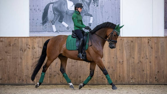 LM Loire Classic Dressage Square Huntergreen