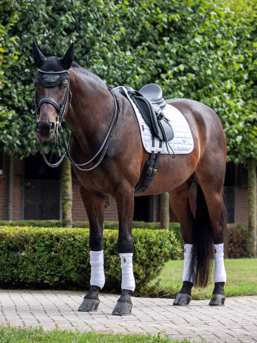 LM Loire Classic Dressyrkorg VIT