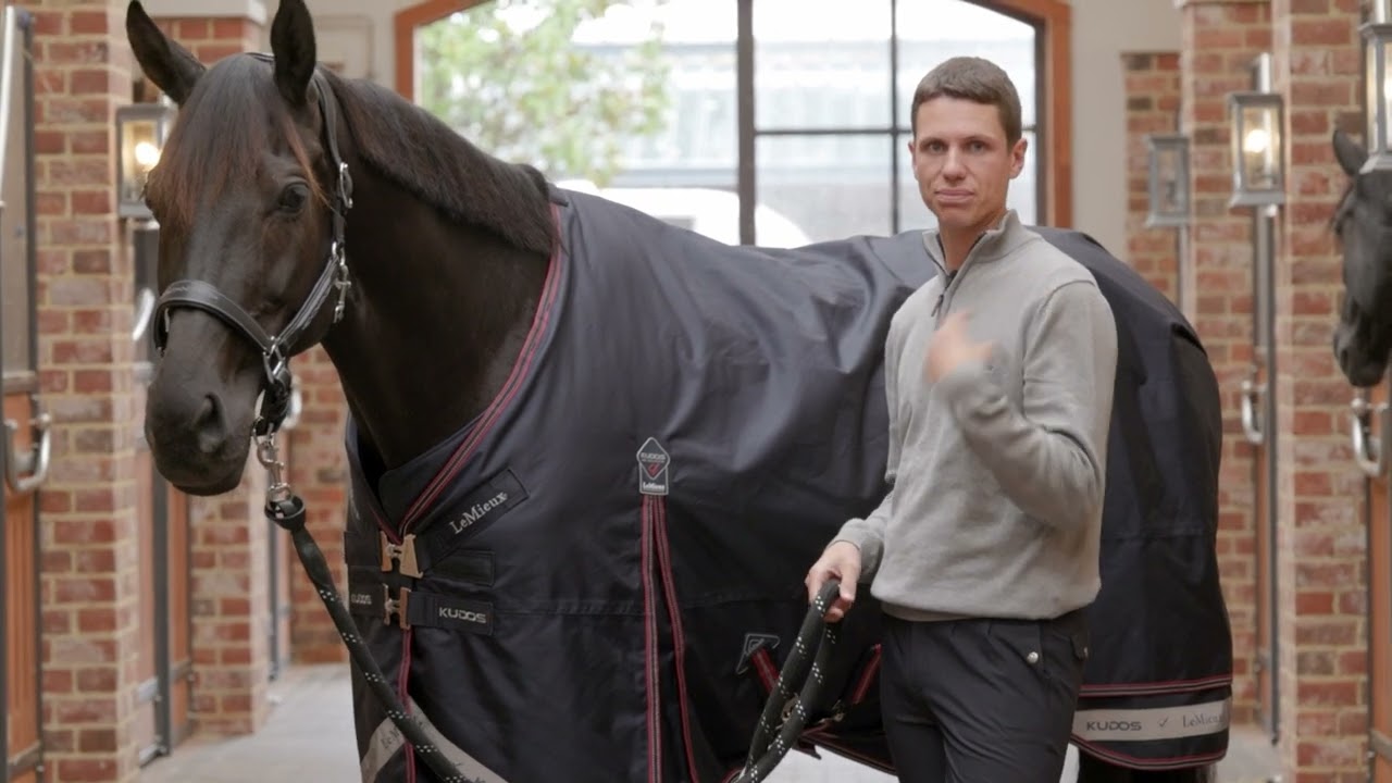 LM Kudos Turnout Rug 100g Navy