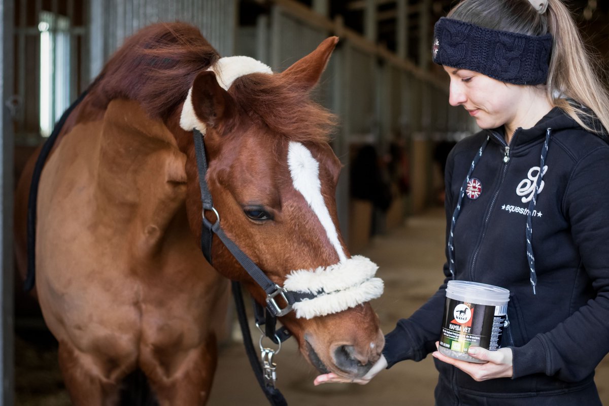 Leovet Hamba-Vet 700 gr