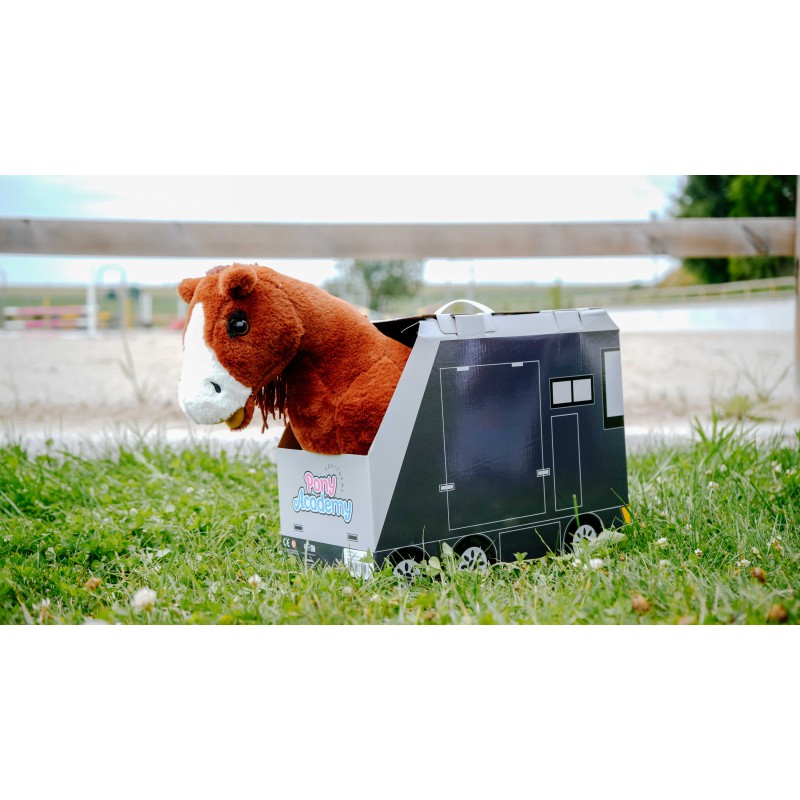 Mini-poney Jumpy - PONY ACADEMY