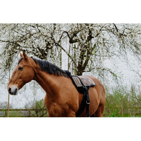 NORTON bareback riding mat - Kiowa