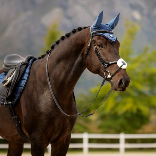 Loire Fly Hood Atlantic