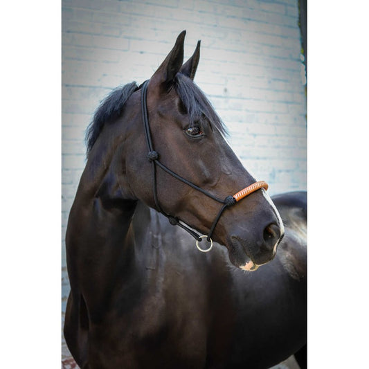 PENELOPE "Amerikansk" Repgrimma