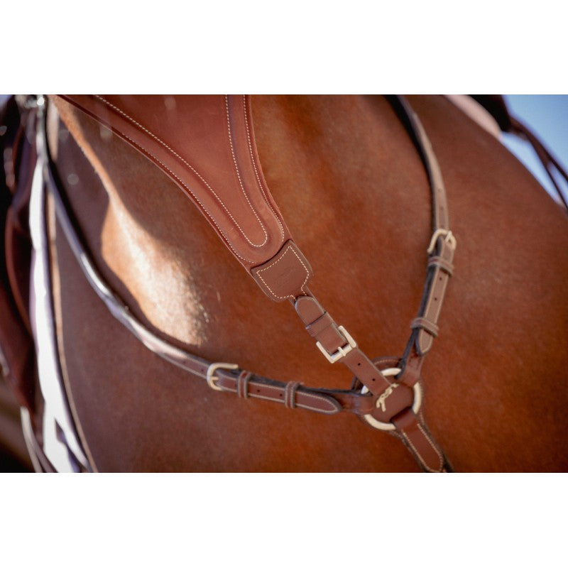Import title