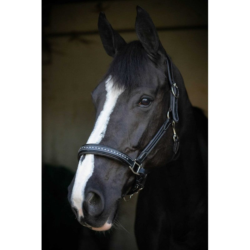 Import title