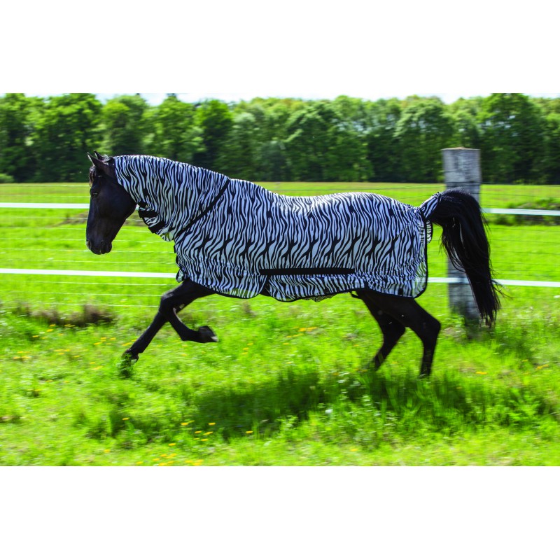 Riding World - Combo - mesh sheet