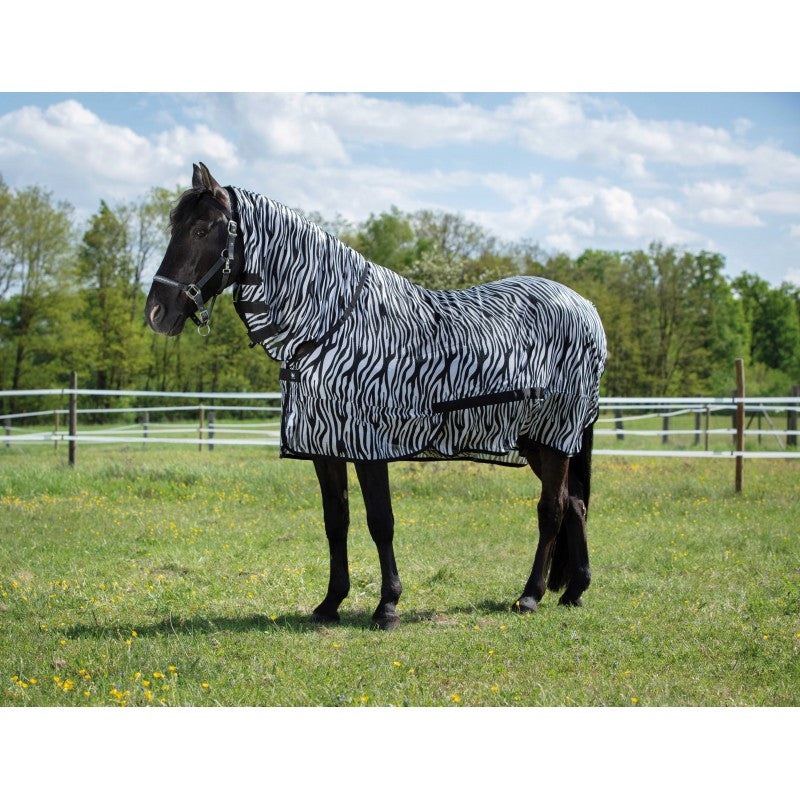 Riding World - Combo - mesh sheet
