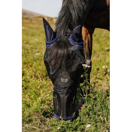 RIDING WORLD - First - fly mask