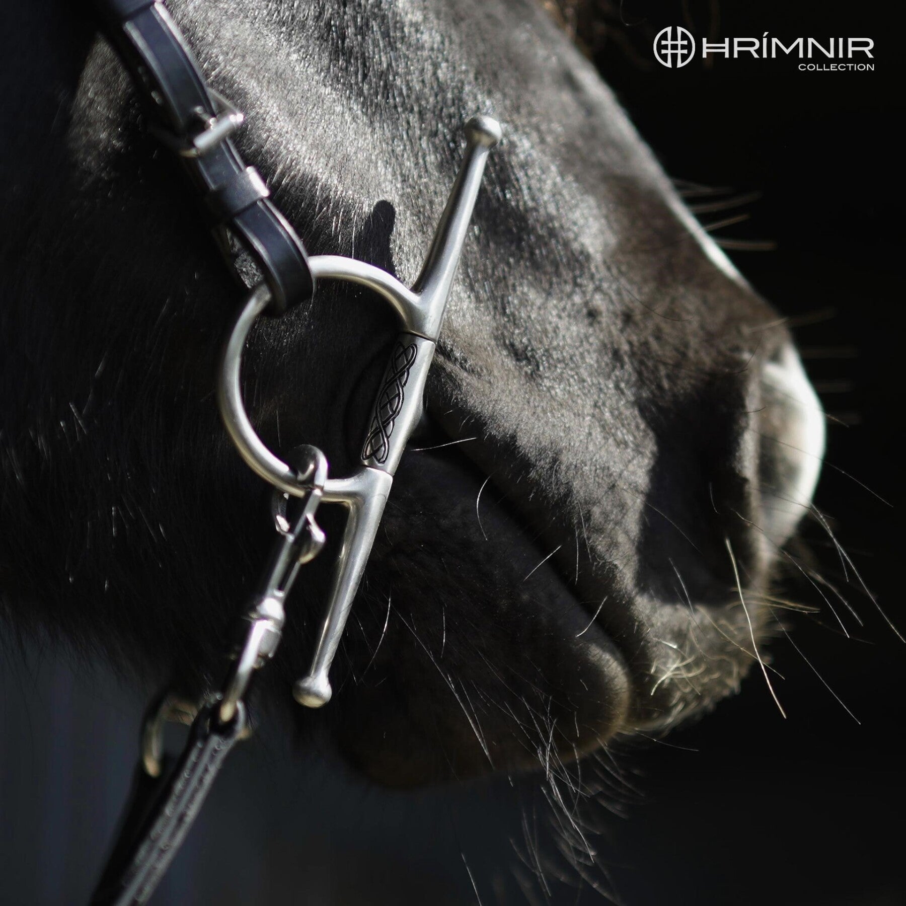 Hrímnir Full Cheek Träningsbett