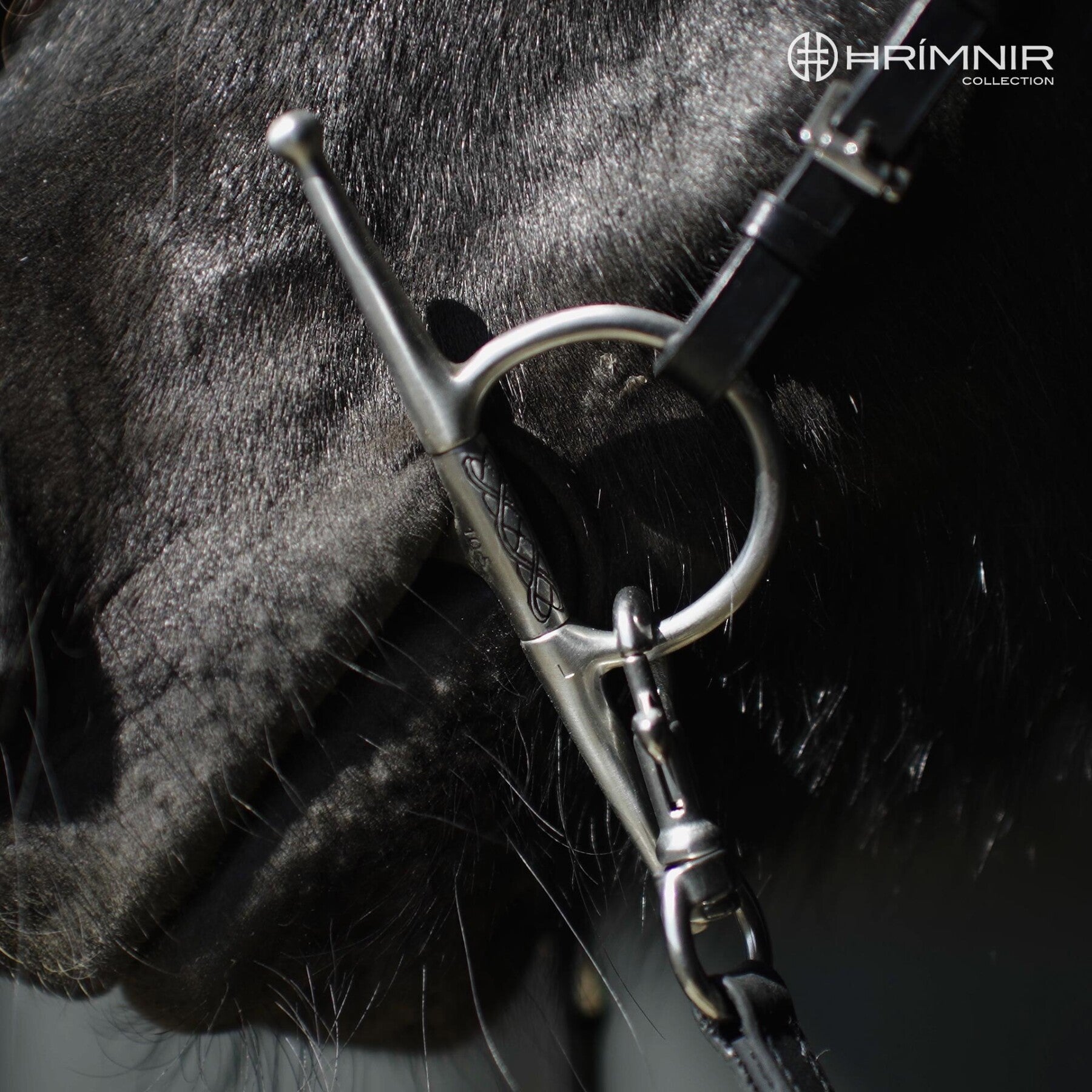 Hrímnir Full Cheek Träningsbett