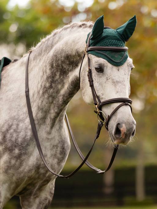 Klassisk flughuva gran