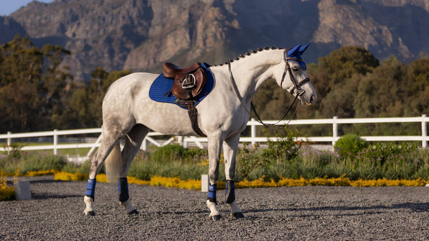 LM Mocka CC Benetton