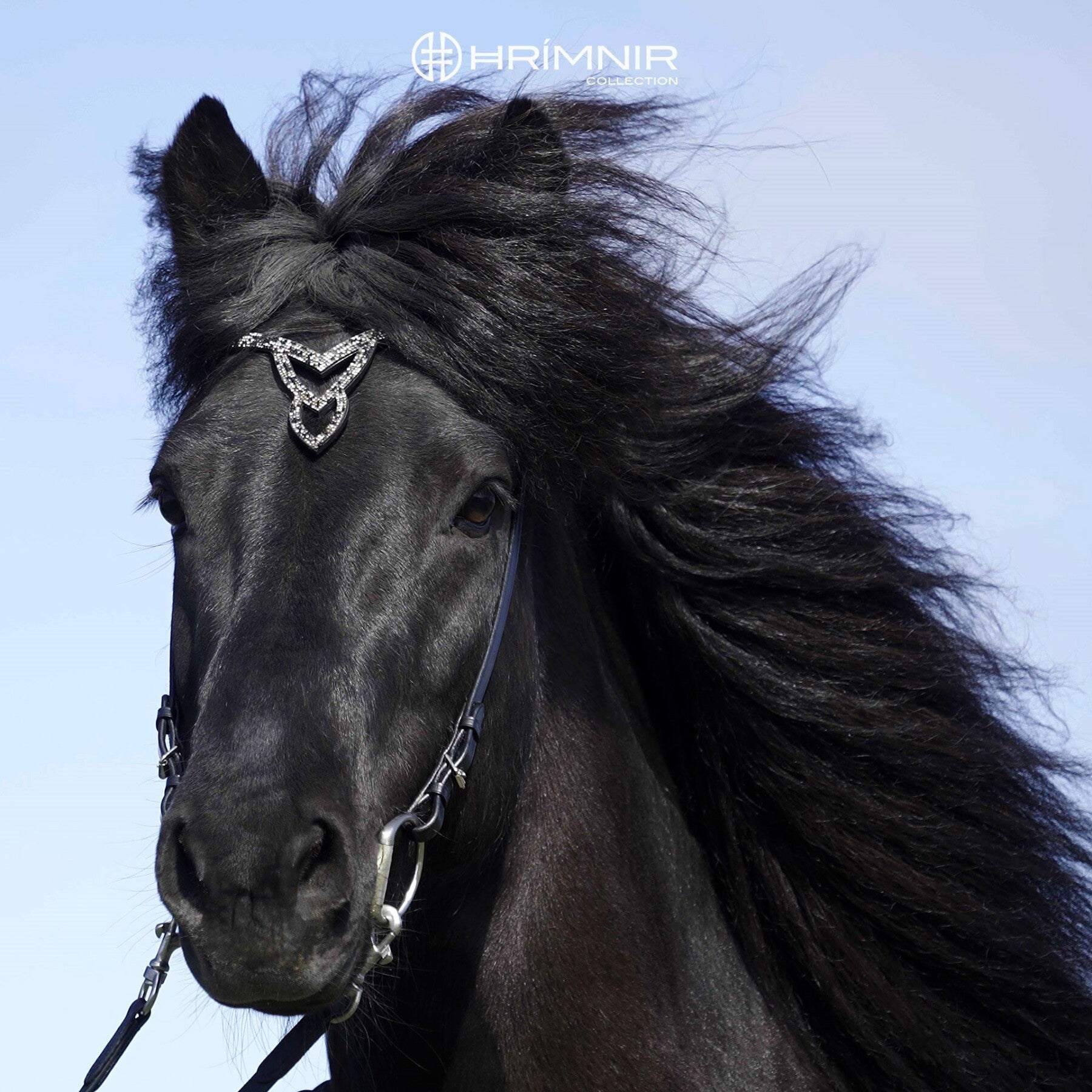 Grimma Heritage - Unity