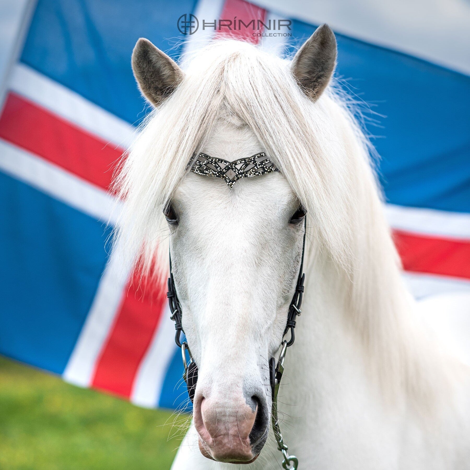 Headstall Heritage B - Fire & Ice